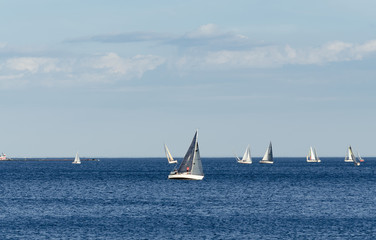 Fototapeta premium Sailboats on Lake Ontario