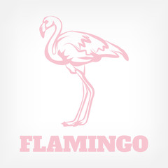 Vector flamingo icon illustration