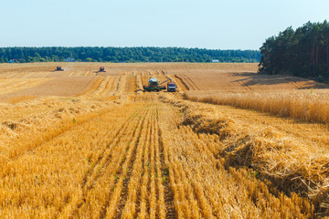 Fototapeta na wymiar combine harvester
