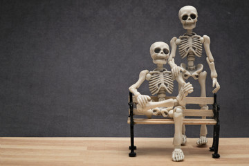 Portrait of two skeletons