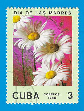 Cuba stamp 1988 - Mother's day - Daisies