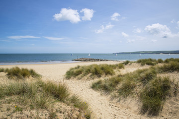 Fototapeta na wymiar Lovely sand dunes and beach landscape on sunny Summer day