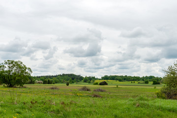 beautiful green fields under blue sky in summer
