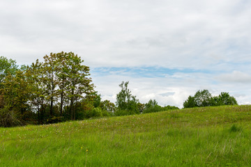 beautiful green fields under blue sky in summer