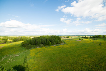 beautiful green fields under blue sky in summer