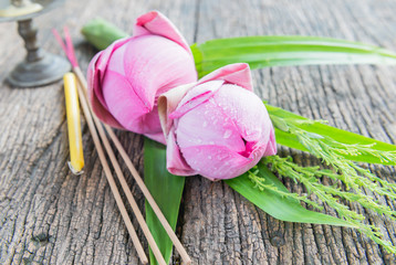 pink lotus flower on wood background
