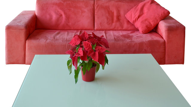 Rotes Sofa mit Weihnachtsstern