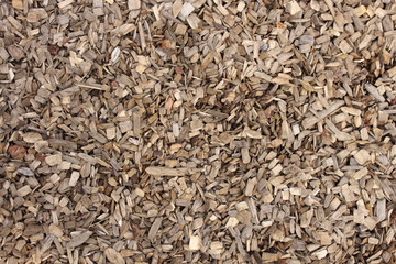 Wood chip on the ground