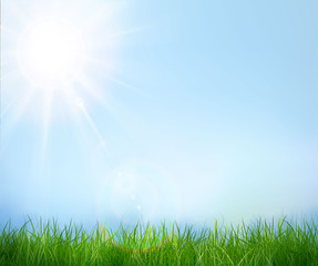 Fototapeta na wymiar Green grass and blue sky. Vector