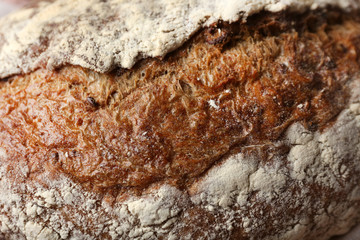 Tasty fresh bread, close up