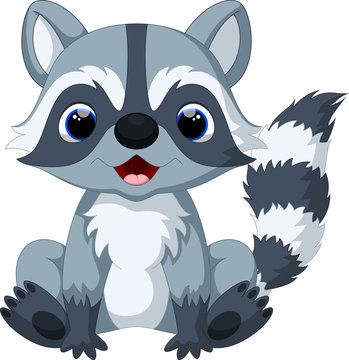 Cute raccoon cartoon