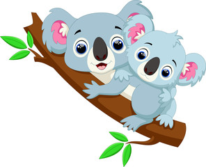 Cute koala cartoon on a tree 