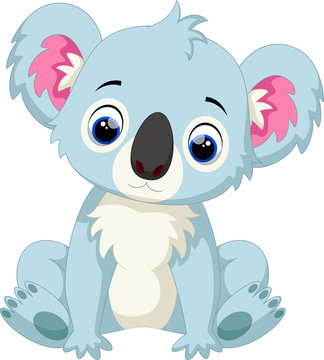 Cute baby koala cartoon