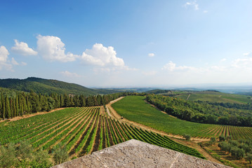 Gaiole in Chianti, Tuscany, Italy - View from the castle over the vineyards and olive groves