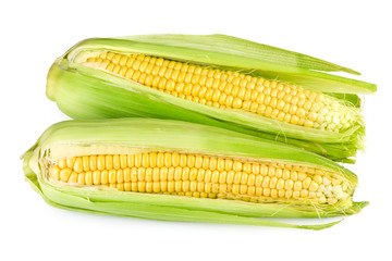 Corn over white
