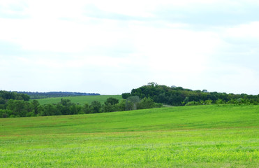 Green field and blue sky