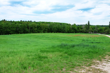 Green field, trees and blue sky
