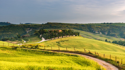 Road between green fields in Tuscany