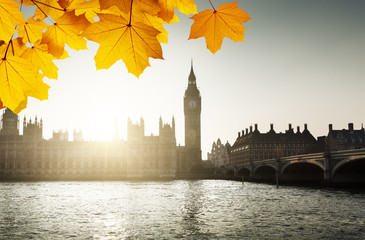 autumn leaves and Westminster, London, UK