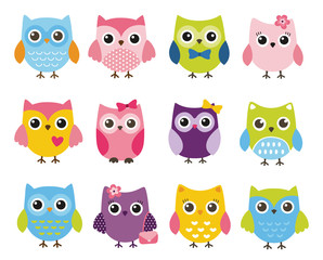 Fototapeta premium Cute vector set of colorful owls
