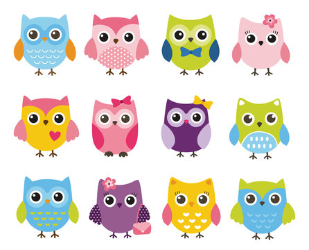 Cute vector set of colorful owls