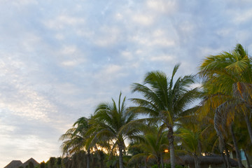 Fototapeta na wymiar Sunset on the Caribbean beach.