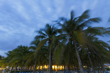 Fototapeta na wymiar Sunset on the Caribbean beach.