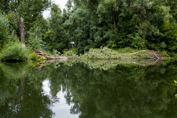 Old park with ponds clean. Ponds bushes green trees and bushes. The water in the ponds of spring transparent. Fotoshoot summer on a cloudy day.

