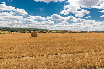 Kornfeld mit Heuballen