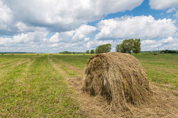копна сена в поле  