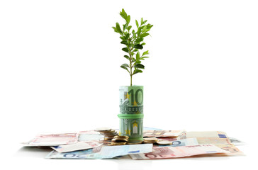 Money with growing sprout isolated on white