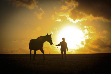 Fototapeta na wymiar Pferd mit Frau vor dem Sonnenuntergang
