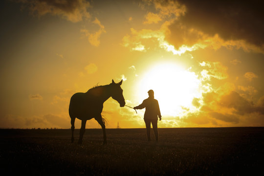 Pferd mit Frau vor dem Sonnenuntergang
