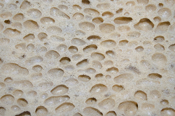 sponge texture