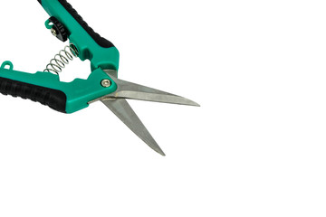 Green scissors on white background