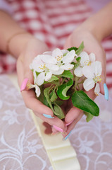 flowering branches in hands