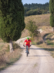 Obraz premium Mountain biker riding through Tuscan landscape