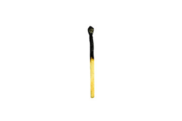 burnt match isolated on a white background
