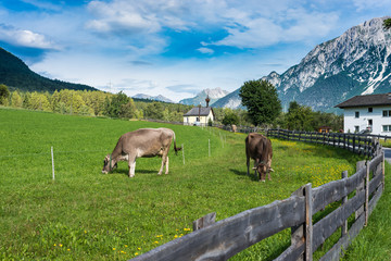 Naklejka premium Obsteig in Sonnenplateau, Austria