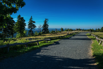 Wandern am großen Feldberg
