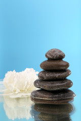 Stack of spa stones with flower on blue background