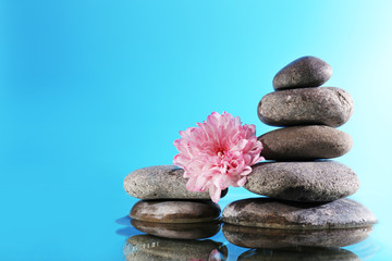 Stack of spa stones with flower  on blue background