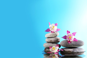 Obraz na płótnie Canvas Stack of spa stones with flowers on blue background