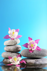 Stack of spa stones with flowers on blue background