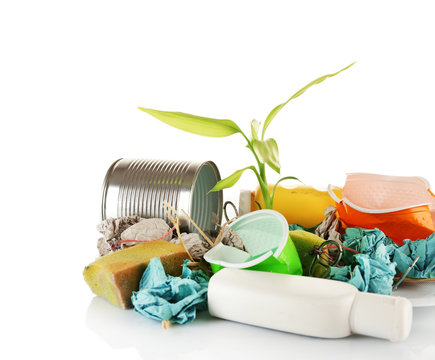 Pile of rubbish with plant isolated on white