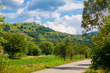 Fototapeta na wymiar Countryside in Hunedoara county