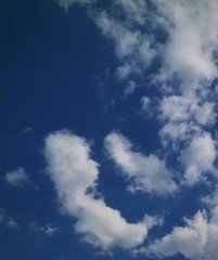 Fototapeta premium Embryo Wolke