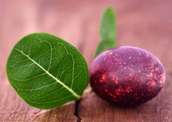 Koromcha or Carandas of Southeast Asia