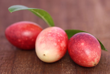 Koromcha or Carandas of Southeast Asia
