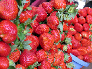 Farm Fresh Strawberries